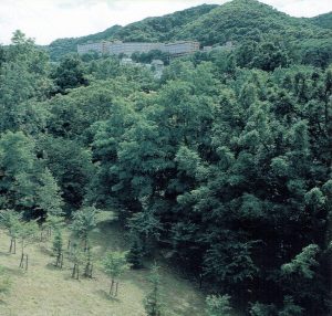 ピアリッヂ円山 専用庭